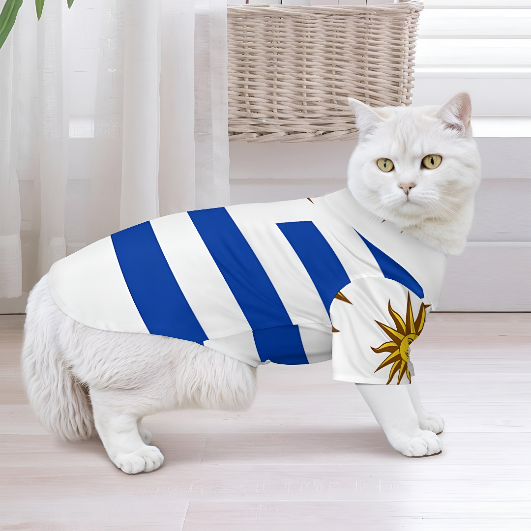 Stylish and Comfortable Pet Clothing